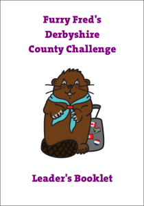 FF Front Cover Image